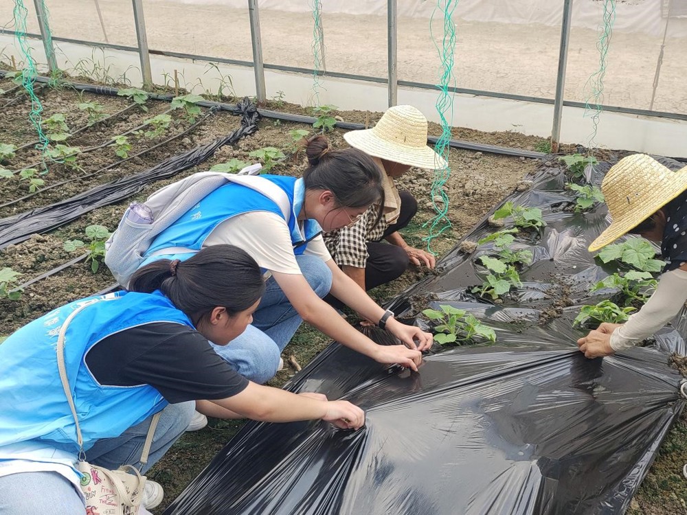 61927f1f270a44dd92e2d72c556ff9e7.jpg 61927f1f270a44dd92e2d72c556ff9e7.jpg