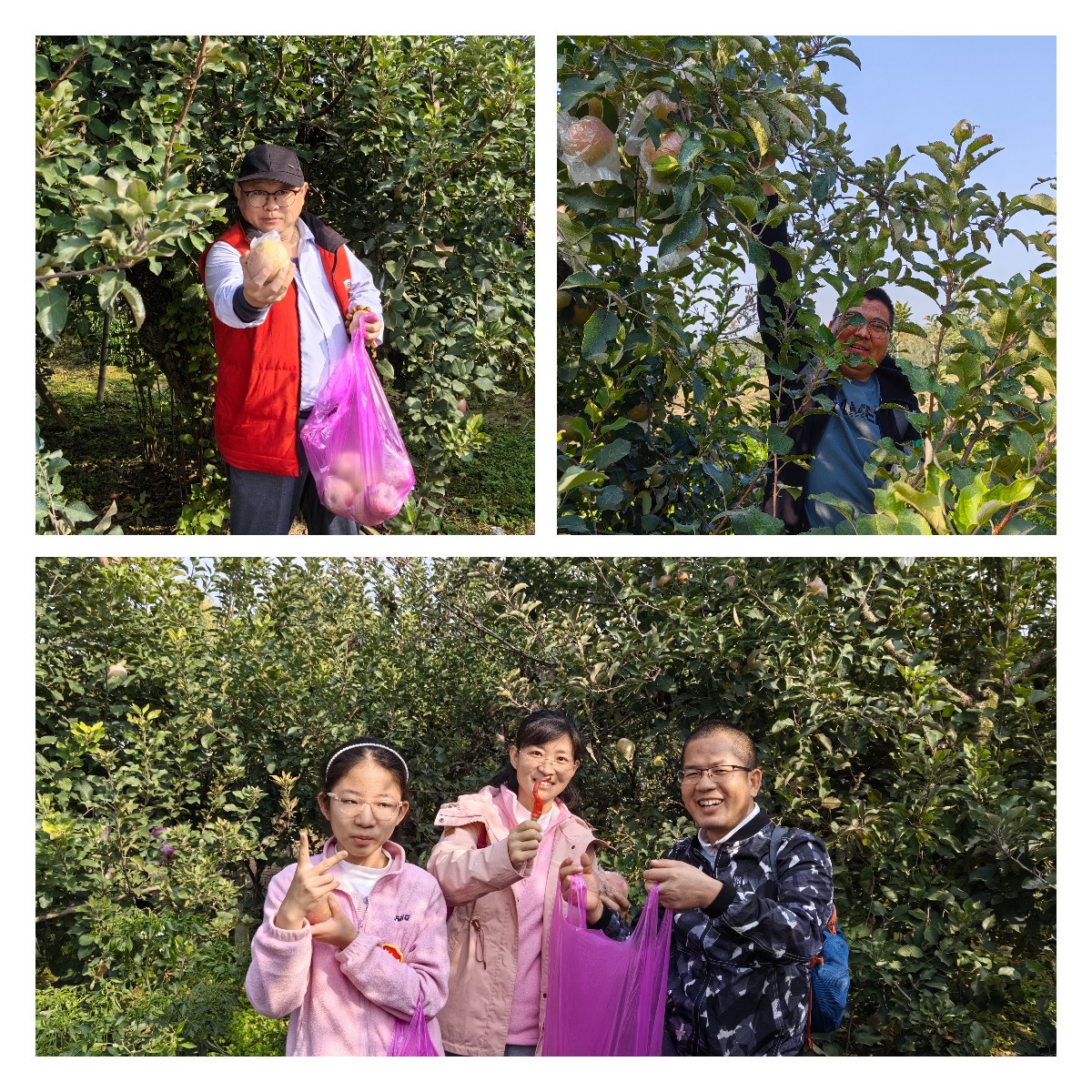 7eef029eda0249eeb9d817cc72d622ce.jpg 7eef029eda0249eeb9d817cc72d622ce.jpg