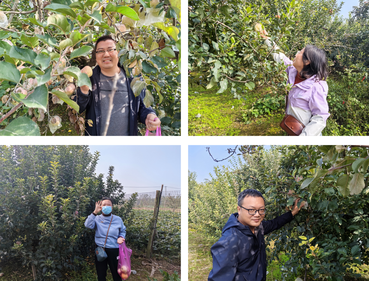 ab9d1a699c4f4de8a3c4251f404df53d.png ab9d1a699c4f4de8a3c4251f404df53d.png